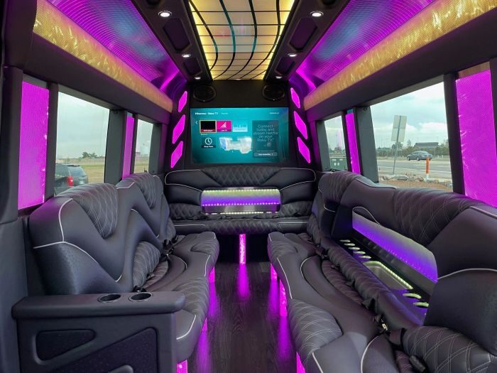 Sprinter limo lounge with TV – Cheyenne party bus rental