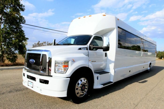 White party bus – Cheyenne party bus rental