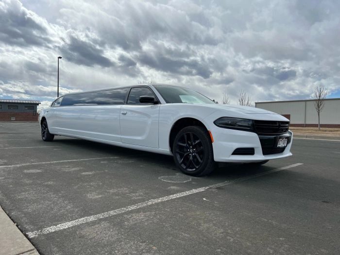 White stretch limo – Cheyenne party bus rental